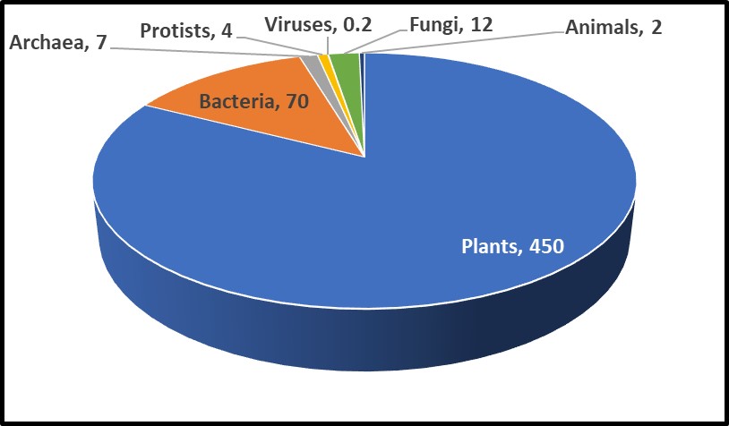 UST Microbiology Society - November's microbe of the month