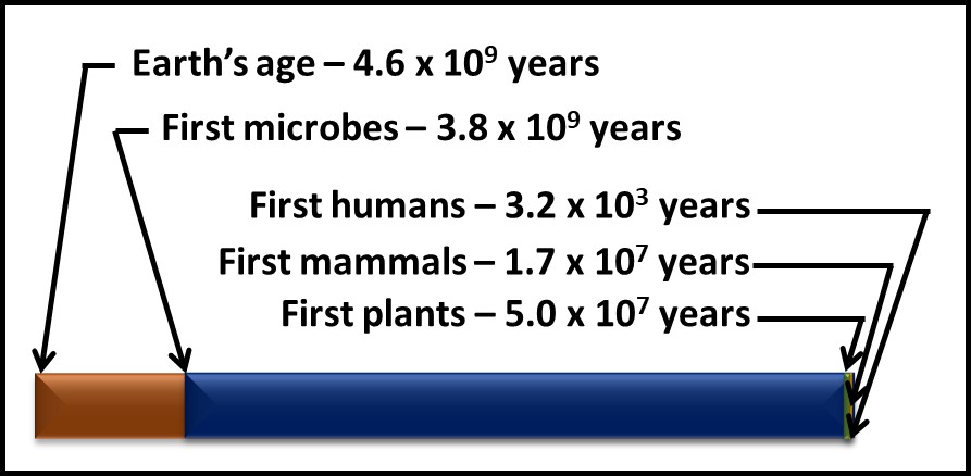 UST Microbiology Society - November's microbe of the month